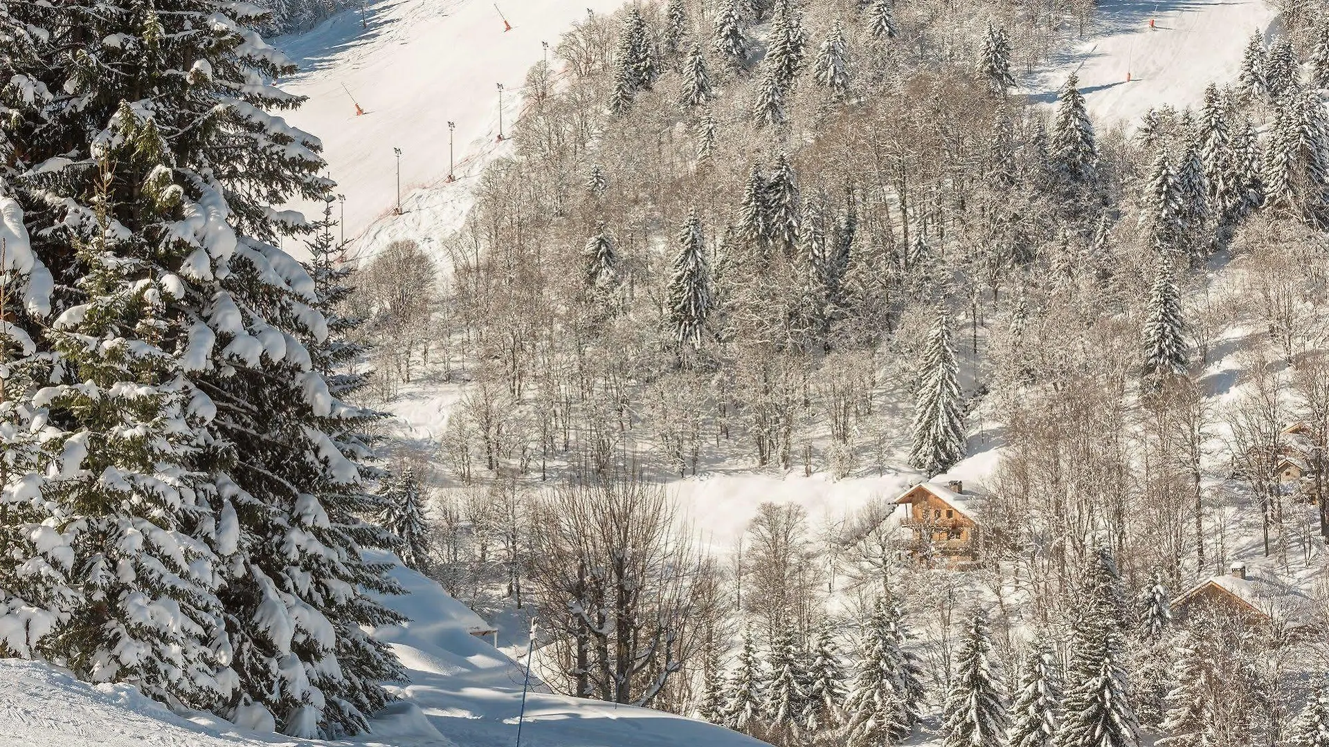 Aparthotel Residence Pierre & Vacances Les Gemeaux La Plagne